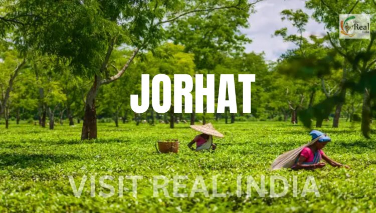 Jorhat: Five Must-Do Experiences in Assam